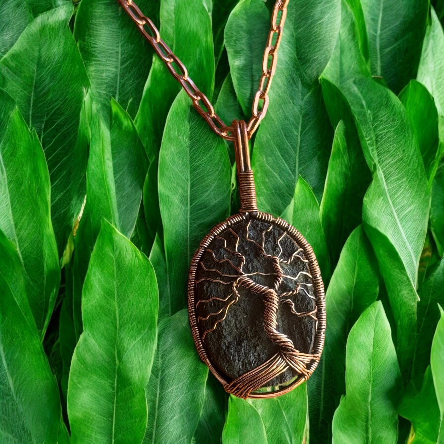 Copper Wire Wrapped Tree of Life around Black Tourmaline
